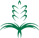 ܽܛ